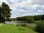 Creutzwald lac 07